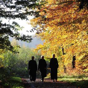 Monks in Autumnal Valley